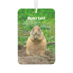 Désodorisant Pour Voiture Petit chien de prairie à queue noire mignon