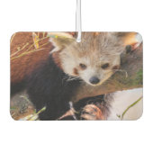 Désodorisant Pour Voiture Petit panda rouge pâle (Devant)