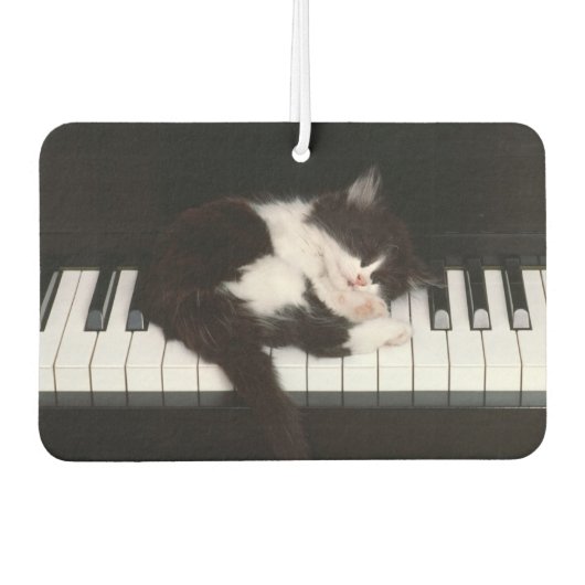 Désodorisant Pour Voiture Piano Kitten Air Freshener (Devant)