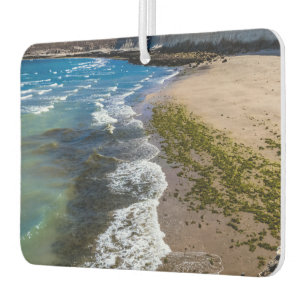 Désodorisant Pour Voiture Plage à Puerto Piramides, Argentine