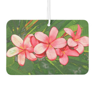 Désodorisant Pour Voiture Plumeria