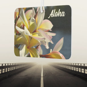 Désodorisant Pour Voiture Plumeria tropicale Frangipani Fleurs florales Aloh