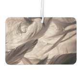 Désodorisant Pour Voiture Plumes (Dos)