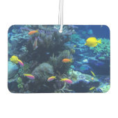 Désodorisant Pour Voiture Poisson Tropical Jaune Photo Sous L'Eau (Dos)