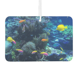 Désodorisant Pour Voiture Poisson Tropical Jaune Photo Sous L'Eau