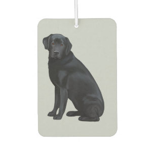 Désodorisant Pour Voiture Portrait de Black Labrador Retriever