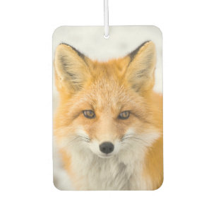 Désodorisant Pour Voiture Portrait de renard roux