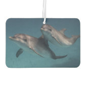 Désodorisant Pour Voiture Pose joueuse (Dos)