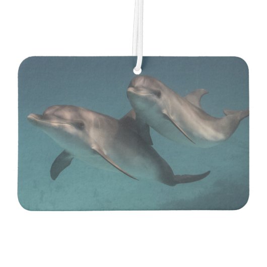 Désodorisant Pour Voiture Pose joueuse (Dos)