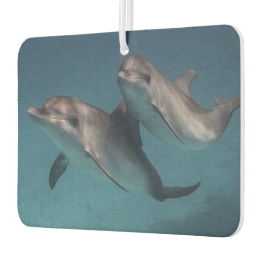 Désodorisant Pour Voiture Pose joueuse (Gauche)