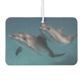 Désodorisant Pour Voiture Pose joueuse (Devant)