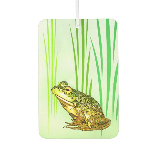 Désodorisant Pour Voiture Princesse Charming Frog Air Freshener (Devant)