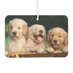Désodorisant Pour Voiture Puppies Air Freshener