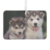 Désodorisant Pour Voiture Puppies Air Freshener (Dos)