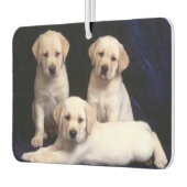 Désodorisant Pour Voiture Puppies Air Freshener (Gauche)