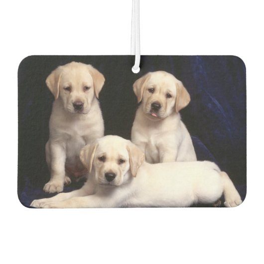 Désodorisant Pour Voiture Puppies Air Freshener (Devant)