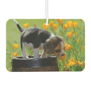 Désodorisant Pour Voiture Puppy Air Freshener