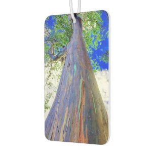 Désodorisant Pour Voiture Raquinbow Eucalyptus Air Freshener