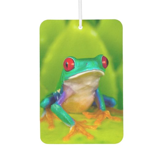 Désodorisant Pour Voiture Red-eyed tree frog, Costa Rica (Devant)