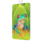 Désodorisant Pour Voiture Red-eyed tree frog, Costa Rica (Gauche)