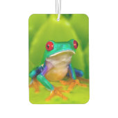 Désodorisant Pour Voiture Red-eyed tree frog, Costa Rica (Dos)