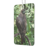Désodorisant Pour Voiture Red Tail Hawk Bird (Gauche)