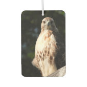 Désodorisant Pour Voiture Red Tail Hawk Stare Down (Devant)