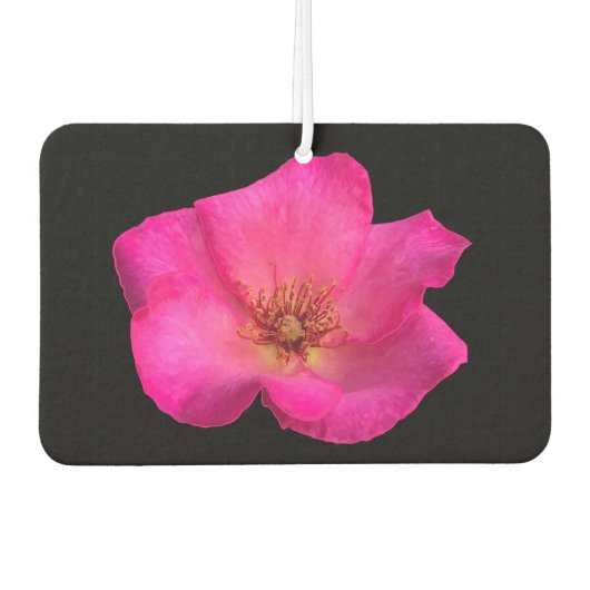 Désodorisant Pour Voiture Rose de stylo à plumes (Devant)