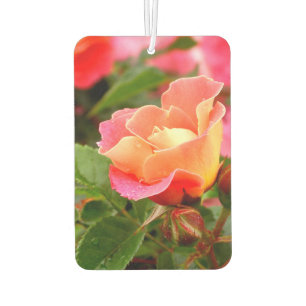 Désodorisant Pour Voiture Rose rose Saumon d'abricot