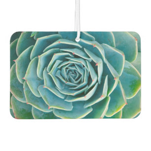 Désodorisant Pour Voiture Rosette d'Echeveria, Jardin Secret de Marrakech
