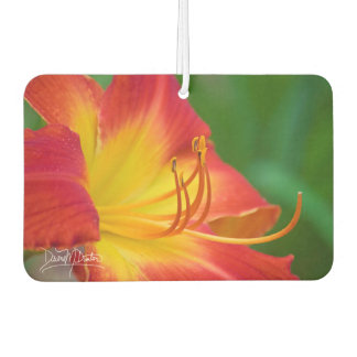 Désodorisant Pour Voiture Ruby Spider Day Lily
