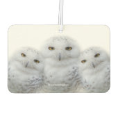 Désodorisant Pour Voiture Sagesse rêveuse des Chouettes neigeuses (Dos)