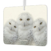 Désodorisant Pour Voiture Sagesse rêveuse des Chouettes neigeuses (Gauche)