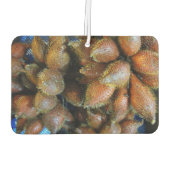 Désodorisant Pour Voiture Salak [Fruit de serpent] (Dos)