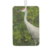 Désodorisant Pour Voiture Sandhill Crane Oiseaux de verdure Photographie (Dos)