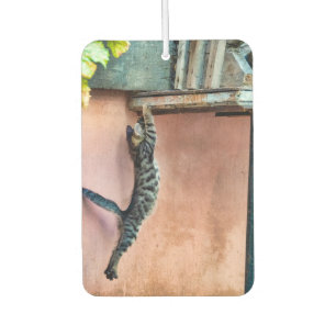 Désodorisant Pour Voiture Saut de chaton