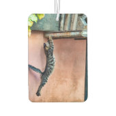 Désodorisant Pour Voiture Saut de chaton (Dos)