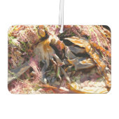 DÉSODORISANT POUR VOITURE SEAWEED (Dos)
