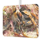 DÉSODORISANT POUR VOITURE SEAWEED (Gauche)