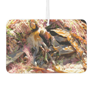 DÉSODORISANT POUR VOITURE SEAWEED