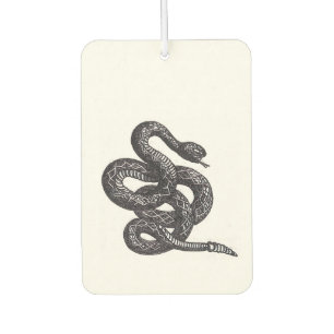 Désodorisant Pour Voiture Serpent Crotalus Cascavella (Vipère à Piton Venime