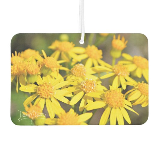 Désodorisant Pour Voiture Simplement jaune (Devant)