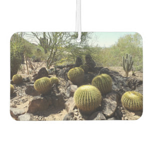 Désodorisant Pour Voiture Sonoran Desert Air Freshener