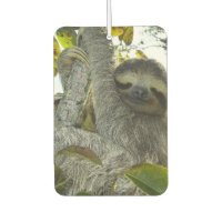 Sourire Sloth Heart Air Freshener, Emerald Sea