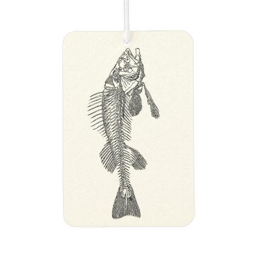Désodorisant Pour Voiture Squelette de poisson (Devant)