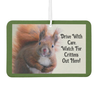 Désodorisant Pour Voiture Squirrel Car Air Freshener