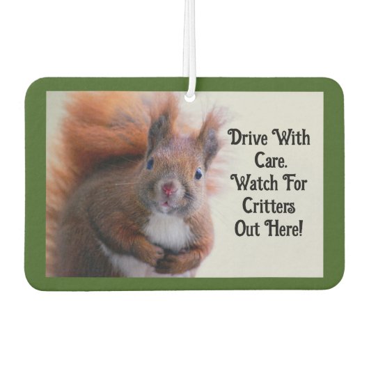 Désodorisant Pour Voiture Squirrel Car Air Freshener (Devant)