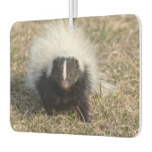 Désodorisant Pour Voiture Sujet (Gauche)