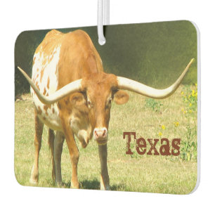 Désodorisant Pour Voiture Texas Longhorn