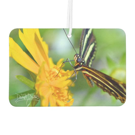 Désodorisant Pour Voiture The Zebra Longwing (Dos)